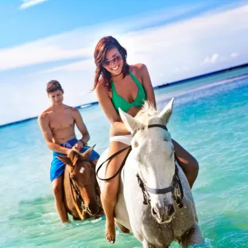 Dental holiday in 7 Steps